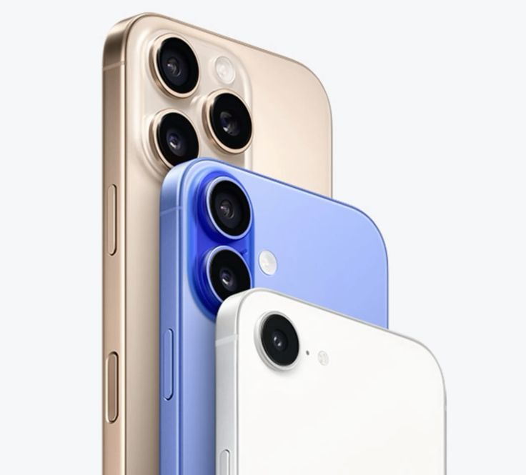 CELLYNK
